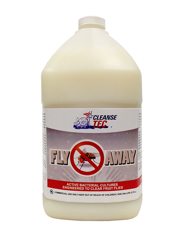 click here to buy fruit fly remover